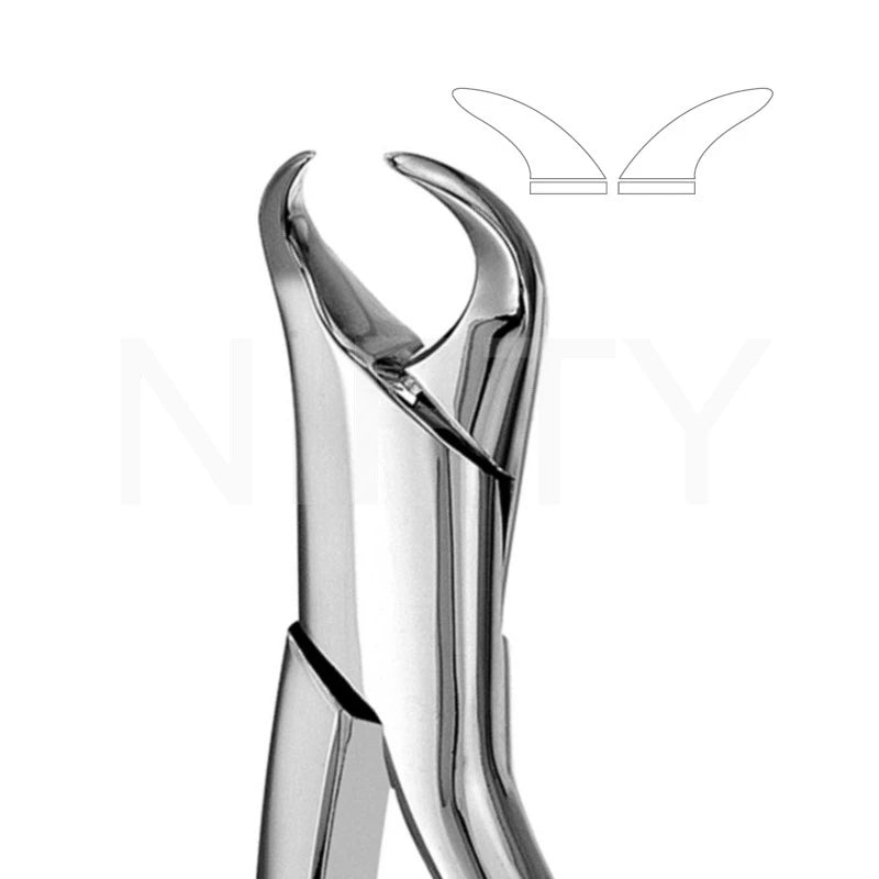 Extracting Forcep American Pattern Lower Molar 16 Nifty Medical