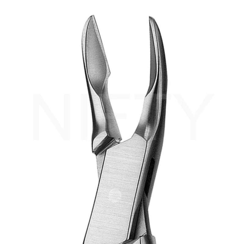 Bone Rongeur Cleveland 5S 14.5cm 5.75 Nifty Medical Supplies