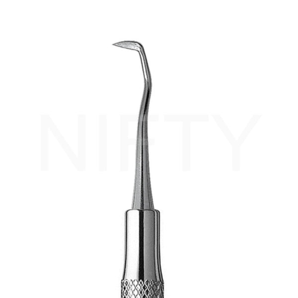 Sickle Scaler Jacquette 31/32