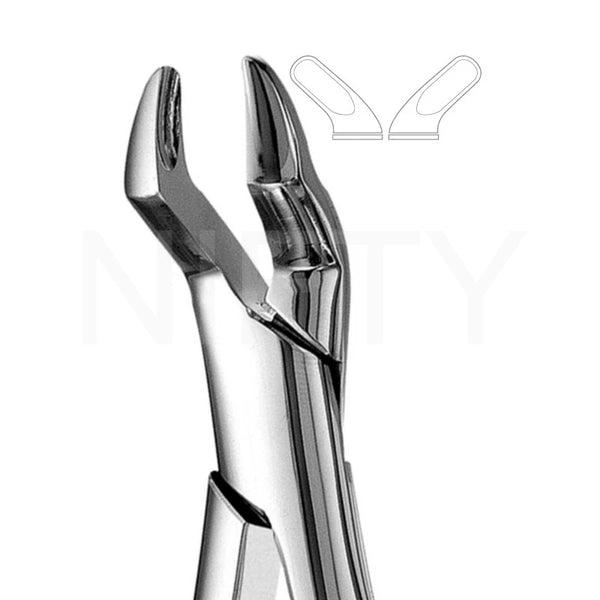 Extracting Forcep American Pattern Upper Molar #10S