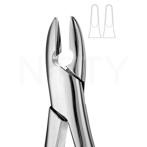 Extracting Forcep American Pattern Upper Anterior Molar #1 Standard
