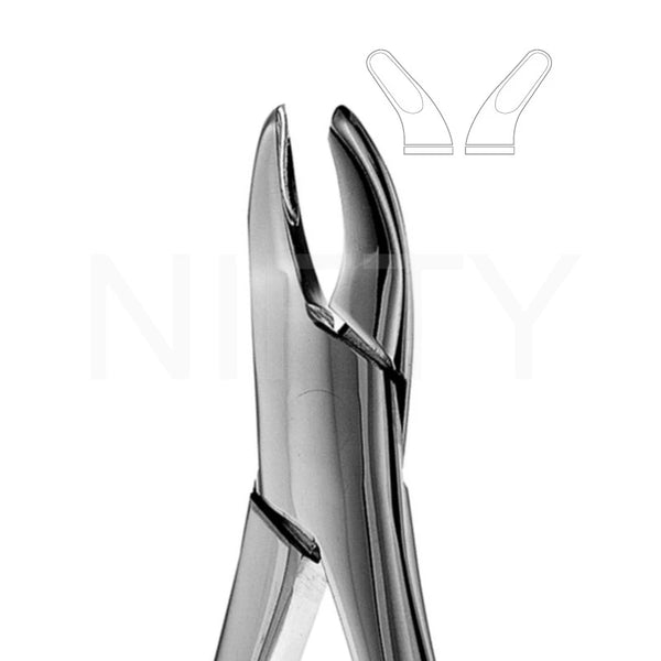 Extracting Forcep American Pattern Upper/Lower Anterior & Splitting #62