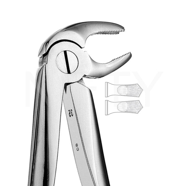 Extracting Forcep English Pattern Roots & Molar #22