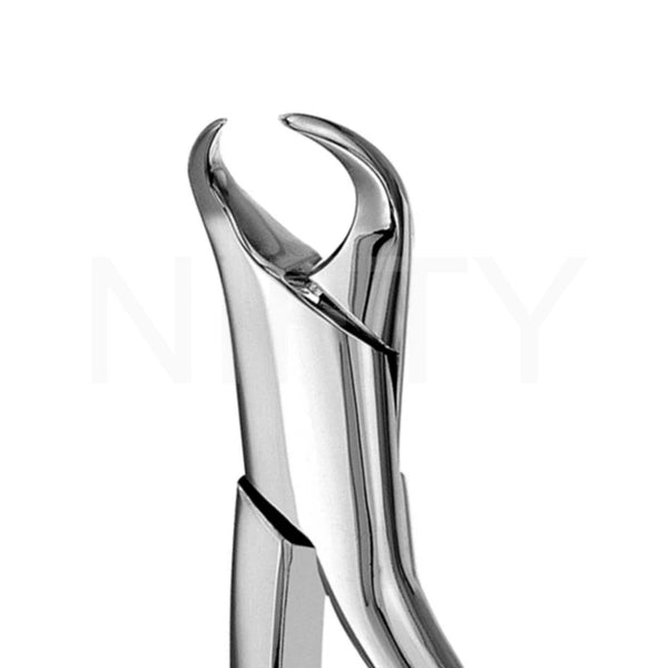 Extracting Forcep English Pattern Roots & Molar #87