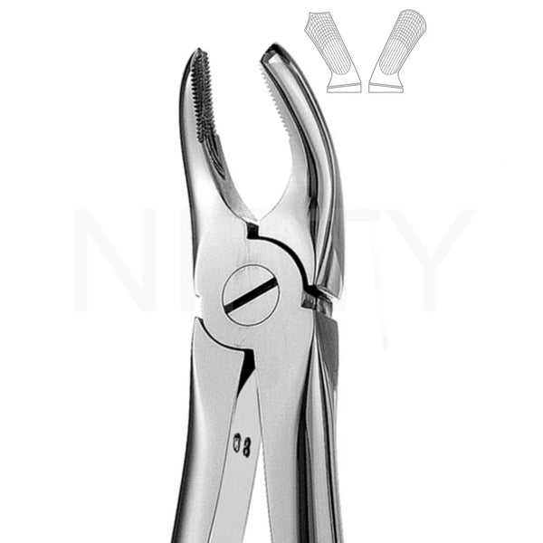 Extracting Forcep English Pattern Roots & Molar #17