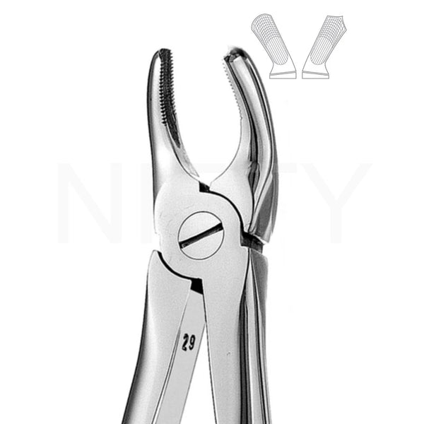 Extracting Forcep English Pattern Roots & Molar #18