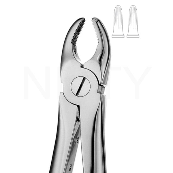 Extracting Forcep English Pattern Roots & Molar #1