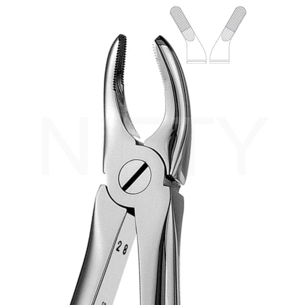 Extracting Forcep English Pattern Roots & Molar #7