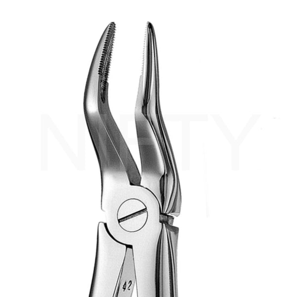 Extracting Forcep English Pattern Roots & Molar #51