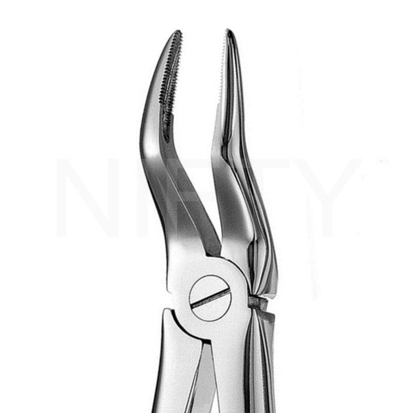 Extracting Forcep English Pattern Upper Roots #51LX
