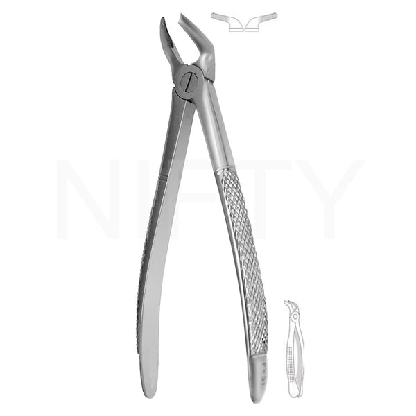Extracting Forcep English Pattern Roots & Molar #31