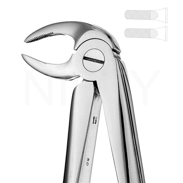 Extracting Forcep English Pattern Roots & Molar #33