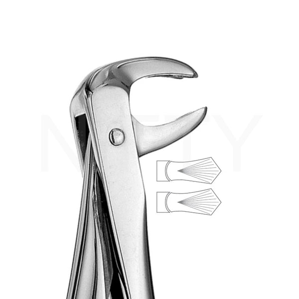 Extracting Forcep English Pattern Roots & Molar #73