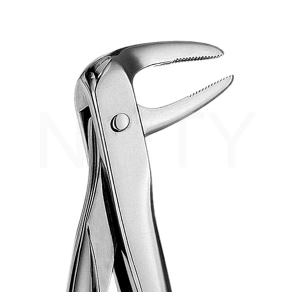 Extracting Forcep English Pattern Roots & Molar #74N