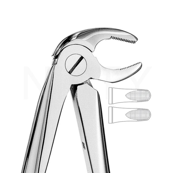 Extracting Forcep English Pattern Roots & Molar #13
